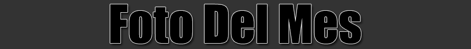 Foto Del Mes